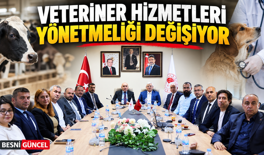 Veteriner Hizmetleri Yönetmeliği Değişiyor: Yeni Düzenlemeler Masada