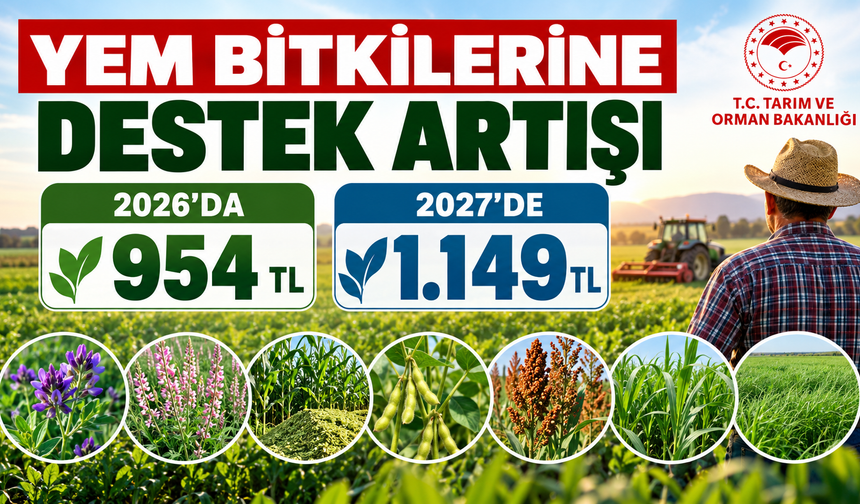 Çiftçiye Yem Bitkilerinde Yeni Destek Rakamları