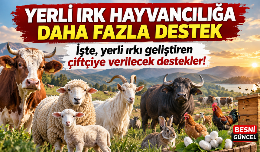 Hayvancılık Desteklerinde 2026 Artışı