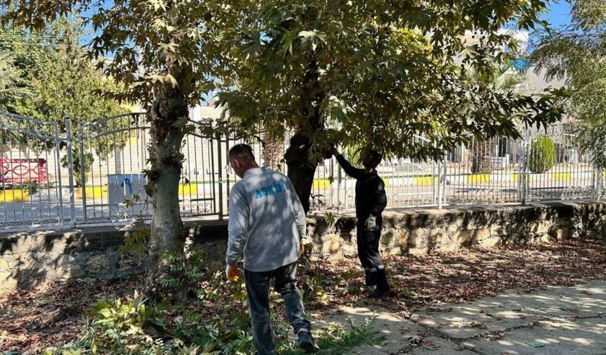 Adıyaman Eski Mezarlık’ta Bakım ve Temizlik Çalışması