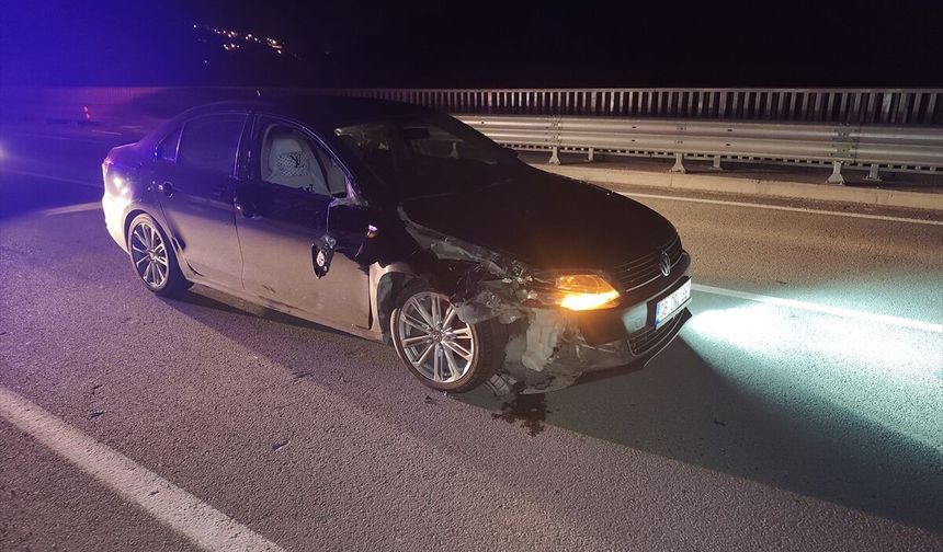 Besni'de Yaya Geçmeye Çalışırken Can Verdi