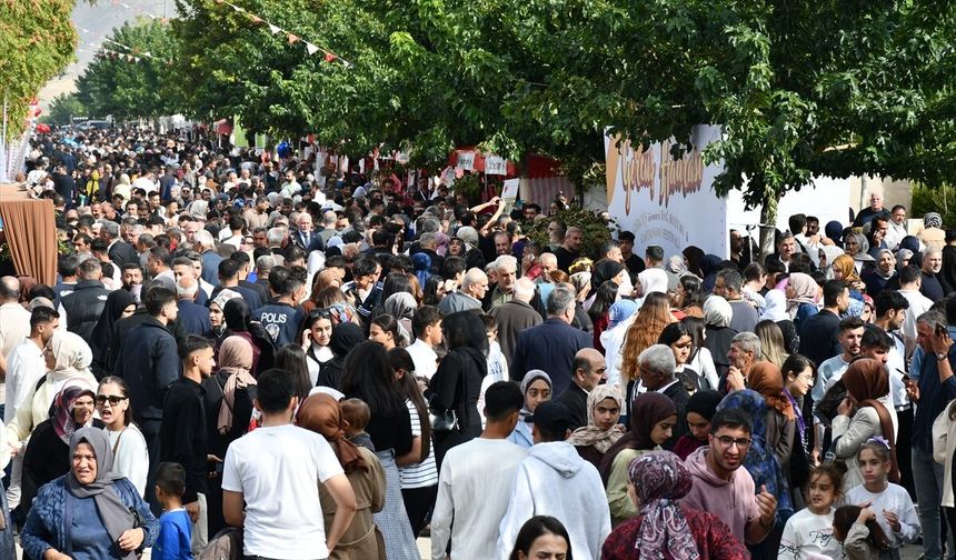 Gercüş'teki Festivalde Yaklaşık 2 Ton Üzüm Dağıtıldı