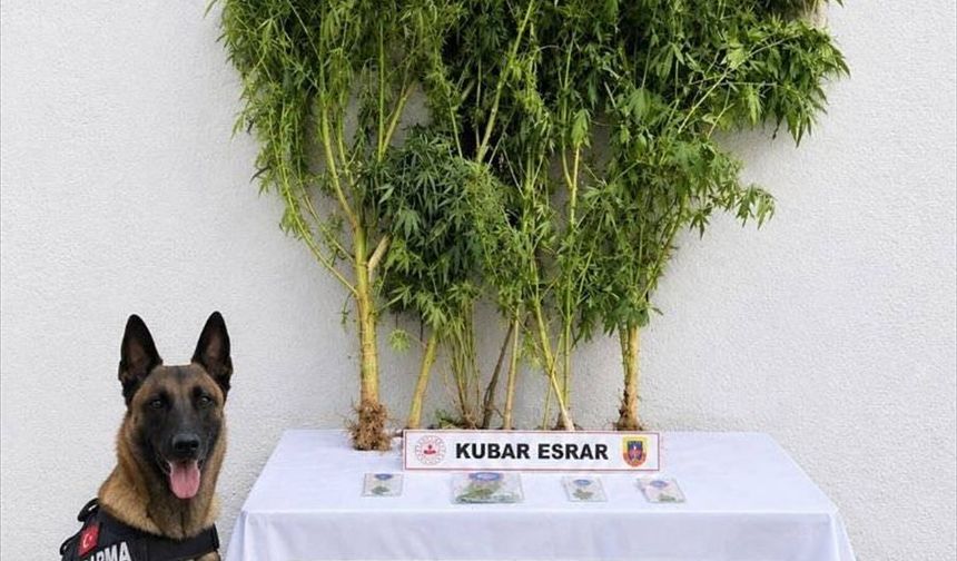 Batman'da kaçakçılık operasyonunda 27 kişiye adli işlem