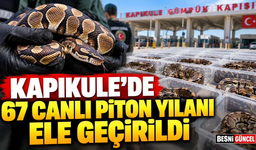 Kapıkule’de Kaçak Piton Operasyonu: 948 Bin TL Ceza