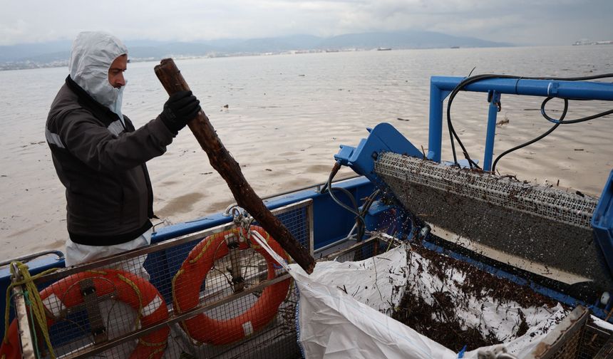 Kocaeli'de Sağanak Sonrası Körfezden 10 Kamyon Atık Toplandı