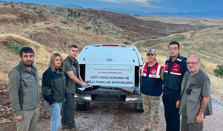 Siirt'te kaçak keklik avına 14 bin TL ceza
