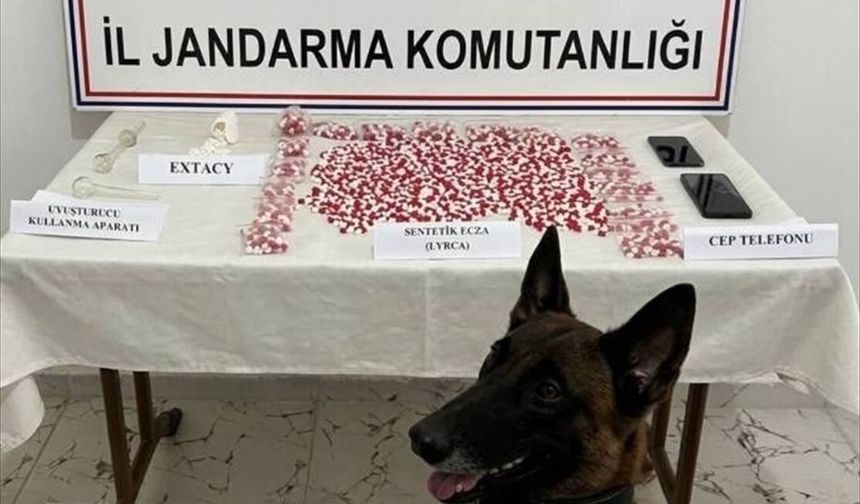 Siirt'te yolcu otobüsünde 2 bin 650 yasa dışı madde hap ele geçirildi