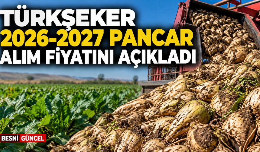 Şeker Pancarı Alım Fiyatı Ton Başına 3.720 TL Oldu